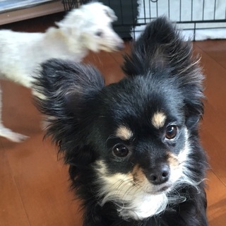 決定☆『さら』誰でもOK。甘えたい