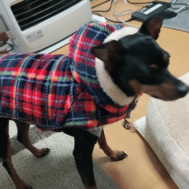 服を着せるのが 一苦労