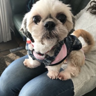 応募者様多数により締め切りました