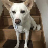 岩崎さえ