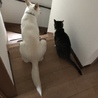  さん