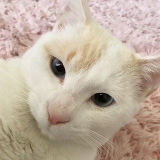 ★ブルーアイ★のつぶらくん！　