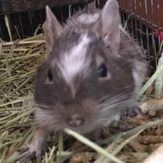 ありがとうございました！