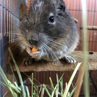 ありがとうございました。