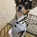 ご対応追いつかず一度締め切りさせて頂いてます