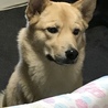 私に子供が産まれてから、不思議で少し怖いけどちゃんと見守ってくれます(´；Д；`)