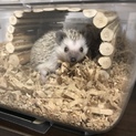 応募多数のため一時募集締め切りです。