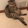 2018.3.24のハニーです。