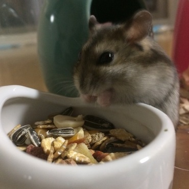 の写真