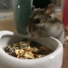 の写真
