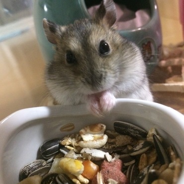 の写真