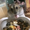 の写真
