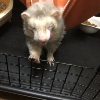 大人しく甘えん坊です‼︎