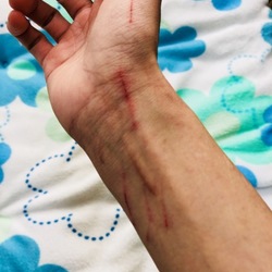 奮闘！フェレットのケア☆