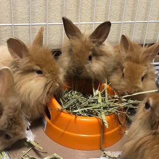 沢山の応募ありがとうございました。