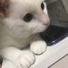 vらびゅv