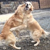 の写真