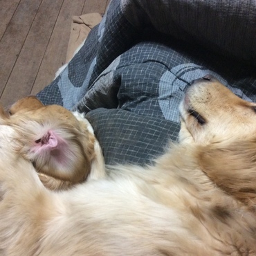 の写真