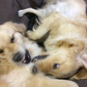 の写真