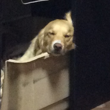 の写真
