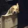 の写真