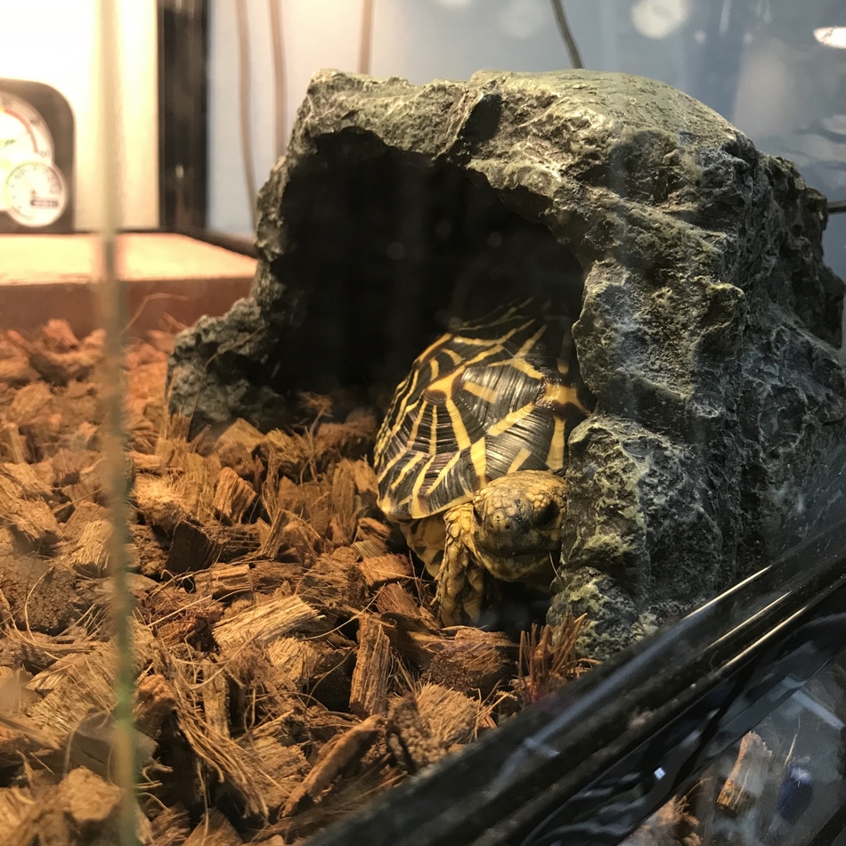 canonのカバー写真