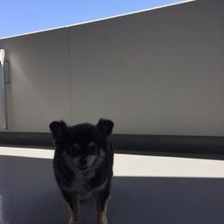 外に慣れよう！