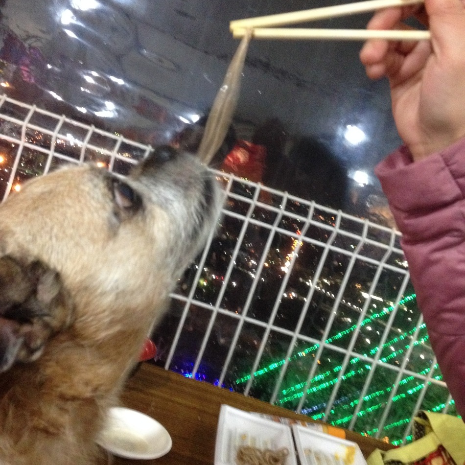 プッシュのカバー写真