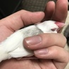 たっすん