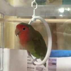 ご無沙汰してしまいました！