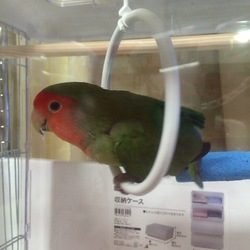 「ご無沙汰してしまいました！」サムネイル2