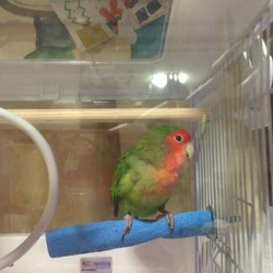 「ご無沙汰してしまいました！」サムネイル3