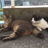 みい