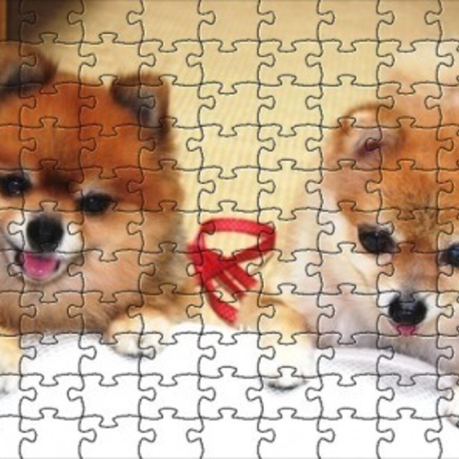 yoshikawananaのカバー写真