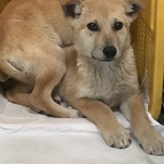 ３月２９日期限！切迫してます！