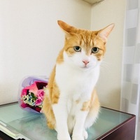 カン