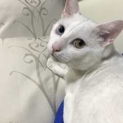 距離が近すぎるから？