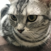 あめ