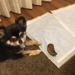 「お外へGO！」サムネイル3