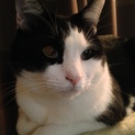 人懐っこい男の子