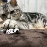 お姉ちゃんの修学旅行のお土産GETฅ^•ﻌ•^ฅ