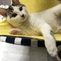 人懐っこさ 日本一(๑˃̵ᴗ˂̵)   シズくん