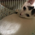 前髪ダサめ笑  癖になる可愛さ  岩ちゃん