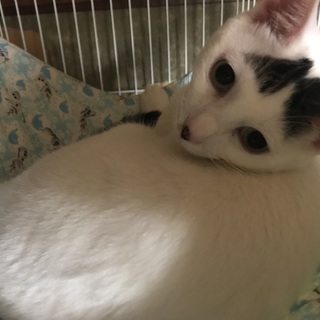 前髪ダサめ笑  癖になる可愛さ  岩ちゃん