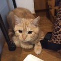 申し訳ございません。