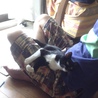 甘えん坊の猫ちゃんと主人