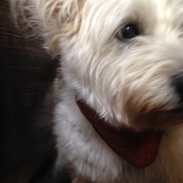 白と黒のコントラスト