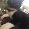 の写真