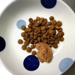 「祝  1歳」サムネイル2