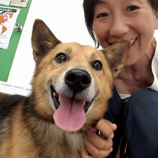 里親様決定しました✨ありがとうございます